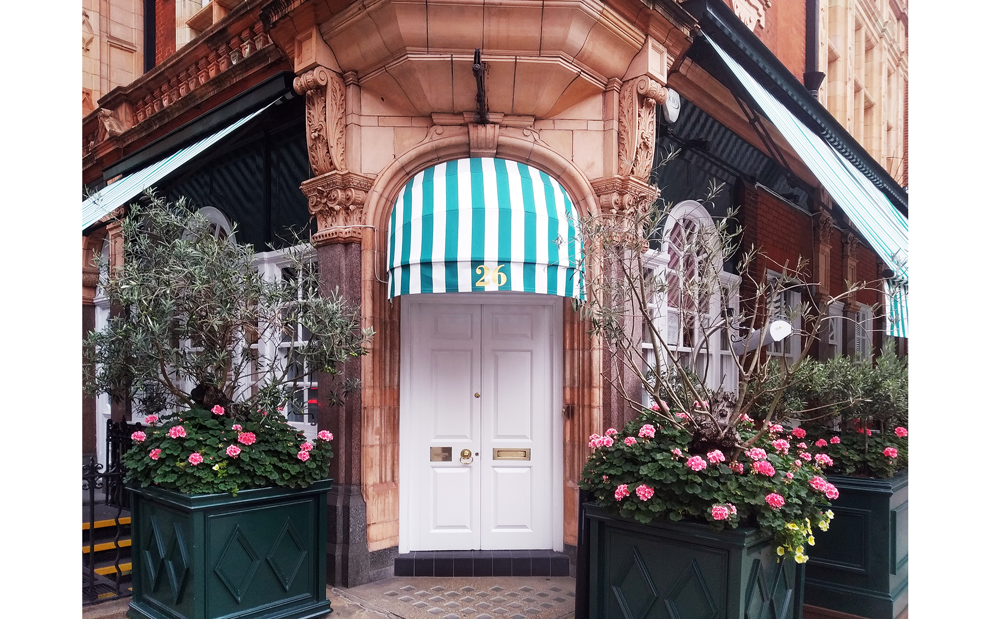 Awning refurbishment at Harry's Bar Morco Blinds